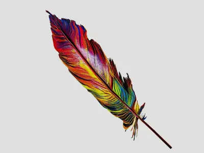 Colorful Feathers Low-poly 3D model