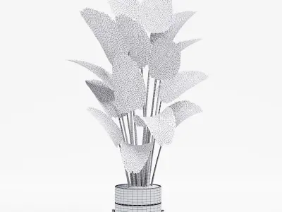 Indoor Plants 23-Bird of paradise 3D model