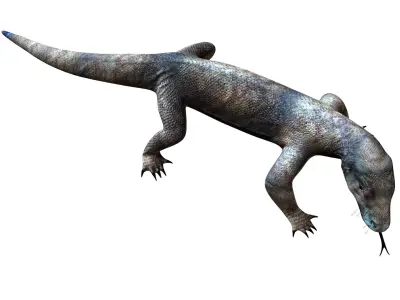 komodo dragon varanus australia animal 3D model