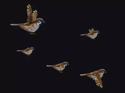 Realistic Sparrow Flock Animated Bird Swarm Shoal Birds Low-poly 3D model