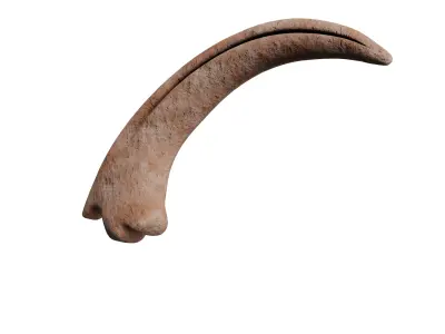 Velociraptor Claw Fossil Low-poly 3D model