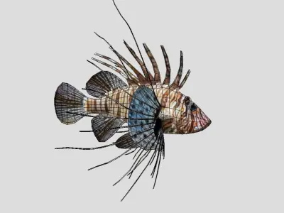 Lionfish Realistic Animated Low-poly 3D model