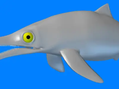 Ichthyosaurus dolphin 3D model