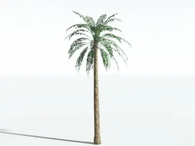EVERYPlant Date Palm LowPoly 4 --16 Models-- Low-poly 3D model