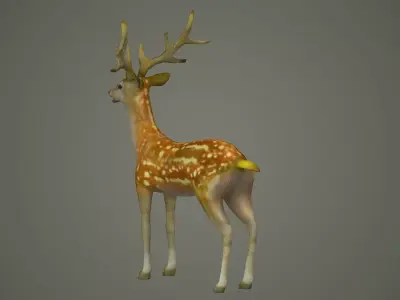 deer stag animal doe game lowpoly forest animation  3D model
