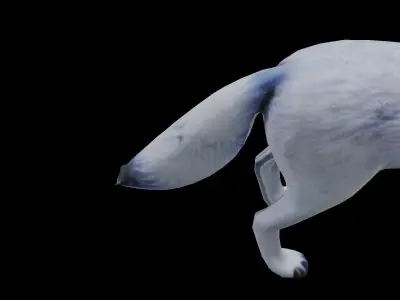 White Fox low poly Low-poly 3D model