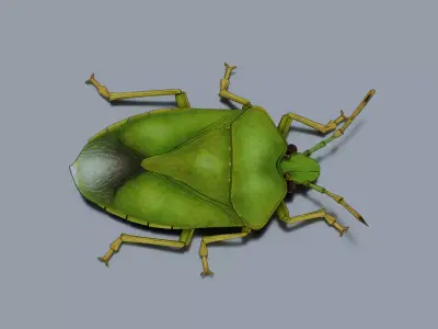 Green rice bug Low-poly 3D model