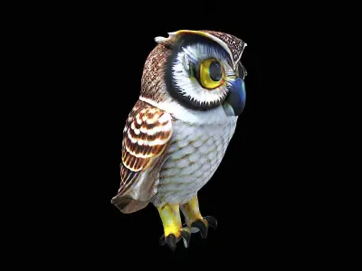 Awesome Owl 3D model