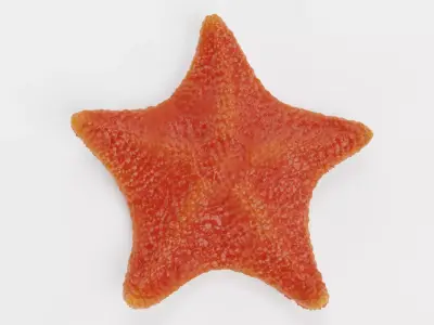 -Bat Starfish Red Rigged- 3D model