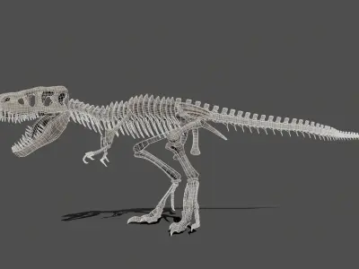 Tyrannosaurus Skeleton 3D model