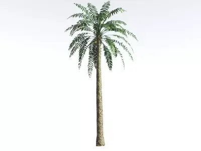 EVERYPlant Date Palm LowPoly 4 --16 Models-- Low-poly 3D model