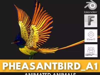 PheasantBird A1 3D model