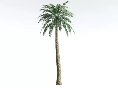 EVERYPlant Date Palm LowPoly 1 --16 Models-- Low-poly 3D model