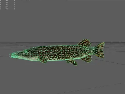 Pike fish Low-poly 3D model