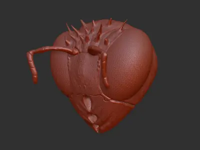 Insect wasp similar-High- end 3D print model highpoly Free 3D print model