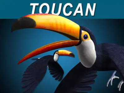 Toucan A - Flight 3D model