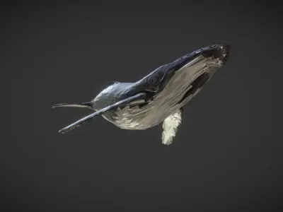 Whale Low Polygon Art Animal Low-poly 3D model