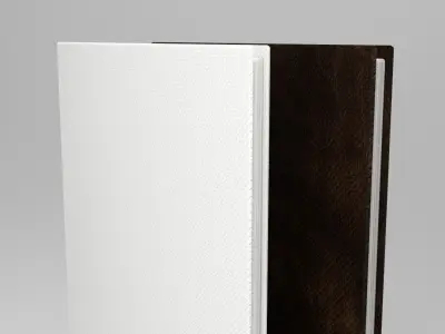 White and Brown Leaflet -LOW POLY Low-poly 3D model