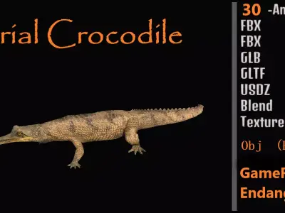 Gharial Gavial Crocodile Low-poly 3D model