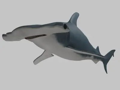 Hammer Head Shark - Game Ready - Rigged Low-poly 3D model