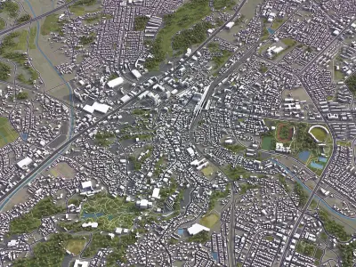 Narita Low-poly 3D model