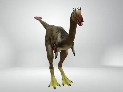 Mononykus dinosaur Low-poly 3D model