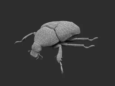 Spotted Chafer Beetle Protaetia brevitarsis Low-poly 3D model