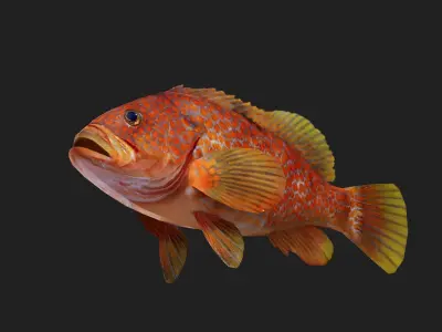 Bass fish Low-poly 3D model