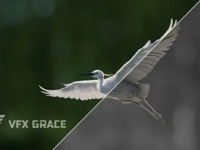 Egret Animated VFX Grace 3D model