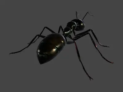 ANTS-002 Rigged Black Ant Low-poly 3D model
