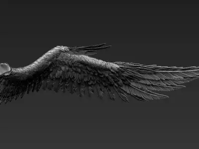 Wings Realistic pair of colorful feathered 3D model