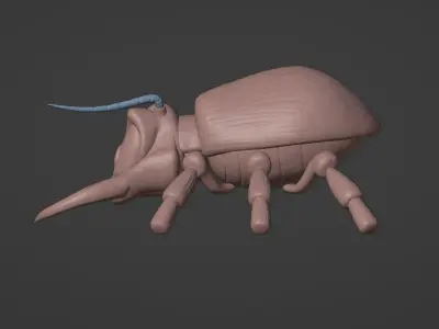 Click Clack DKC 2 Free 3D print model