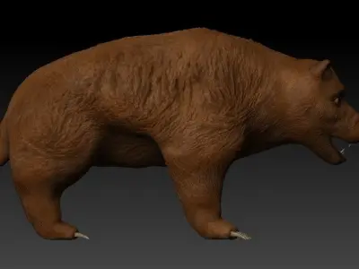 Grizzly Bear Low-poly 3D model