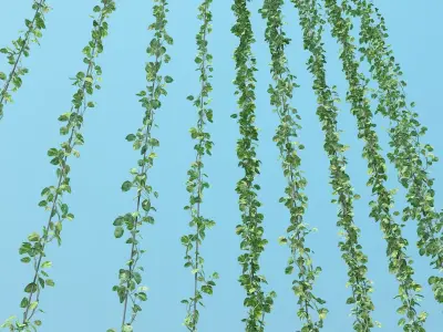 vertical garden 19 3D model