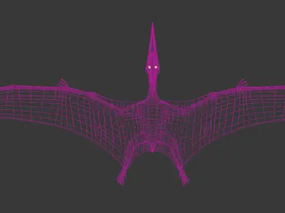Pterodon animations Low-poly 3D model