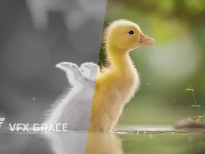 Little Goose Animation VFX Grace 3D model