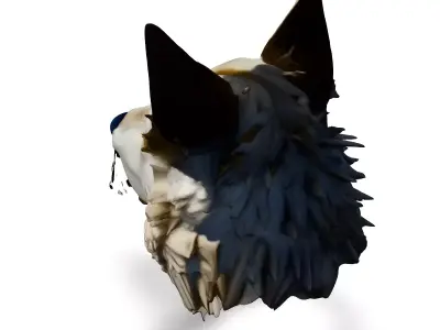 Realistic Wolf Head 3D Model Low-poly 3D model