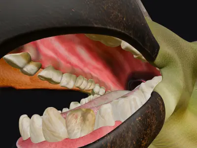  Tuneri Low-poly 3D model