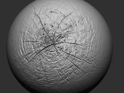Wood Cracks VDM Brush Pack 3D model