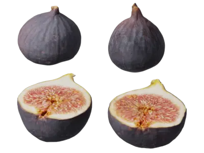  Fig Fruit Food Model 