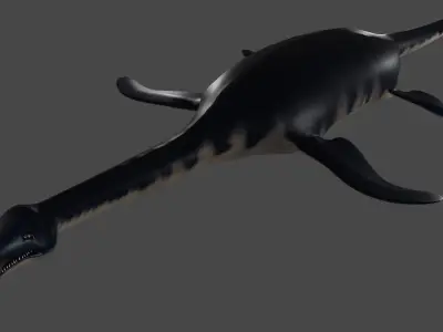 Plesiosaurus dinosaur Low-poly 3D model