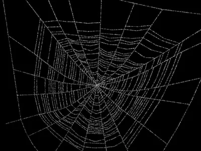 Spiderweb 2 3D model