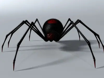 Black Spider Rigged Low-poly 3D model