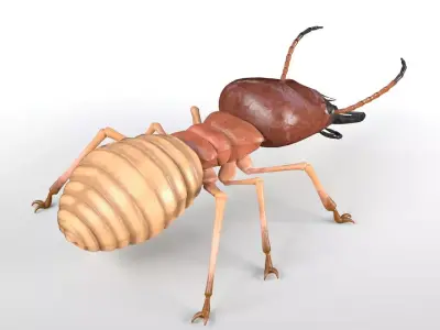 Termite insect Low-poly 3D model