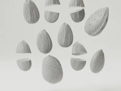 Almonds 3D model