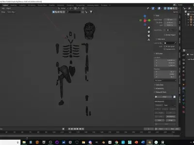Australopithecus skull and skeleton Low-poly 3D model
