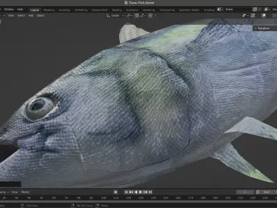 Tuna Fish Low-poly 3D model