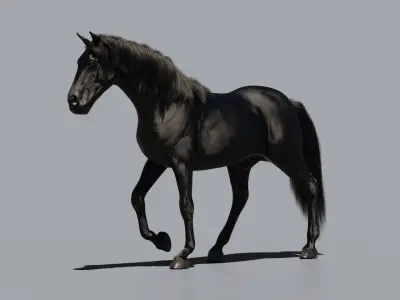 Horse animated 3D model get