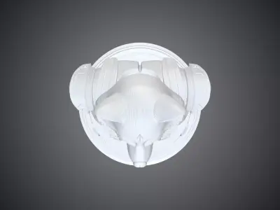 Galactic Raccoon Warrior Bust  Tactical Sci-Fi Hero PM-254 3D print model