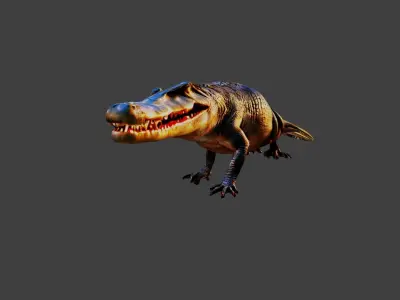Crocodile Low-poly 3D model